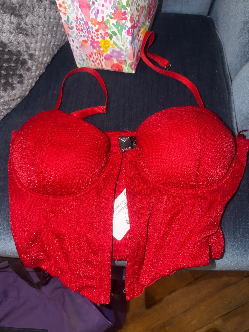 Red Shimmer Longline Bustier Bra
